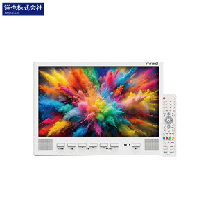 m犔 googleTVڗer 16V^ nEBSE110xCSfW^nCrW ~ 16MBTW+