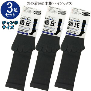 3Zbg j̒  5{w nC\bNX W{TCY L trA amC 28[30cm rWlX\bNX