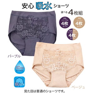 4g  փV[c 20CC փpc y zV[c p[v & x[W