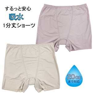 XbƂ͂ 傢R΍ 1 zV[c yփV[c AR 1pc KtBbg zpbht 20ccΉ wlCi[ fB[X@1