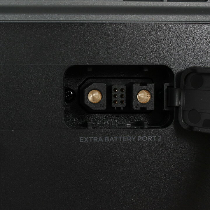 楽天市場】【ポイント2倍！お買い物マラソン】EcoFlow DELTA MAX 1600 