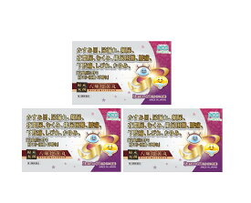 漢方 【第2類医薬品】 ウチダ和漢薬 原末・八味地黄丸 20丸×93包（31日分） 【3個セット】 かすみ目 頻尿 尿漏れ