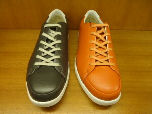 [K324W@REGAL 324W-BF