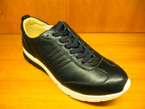 ���[�K��HC38 REGAL ���[�K���E�H�[�J�[�@�\�t�g���[�X�A�b�v�V���[�Y