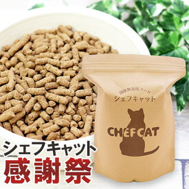 【クーポンで今だけお得！】無添加 国産 キャットフード シェフキャット感謝祭 800g【 公式店 感謝祭 セール 対象商品 お得 割引 】