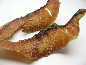 vCPCY@ǂ񂱍SAKUTNbyYEYEz