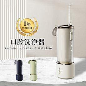 ★日本企業1年交換★ジェットウォッシャー 口腔洗浄器 USB充電 口腔洗浄機 口内洗浄器 プレゼント 13モード調節 ウォーター 歯 フロス ジェット ウォッシャー 業界初 自己洗浄 歯垢除去 防水 風呂 旅行 歯間 デンタル 矯正歯周病 口臭 CB-201 regalino