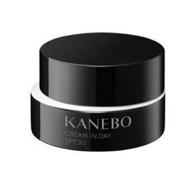 【国内正規品・2025年9月5日発売】クリームインデイ II 40g