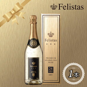 yNX}X Czy Ki MtgBOX tFX^X Xp[NOCz 24Jbg  Pi h SPARKLING S[h 750ml hCcY Mtg LO v[g 蕨 