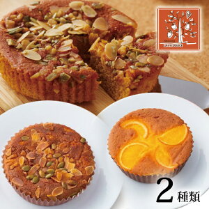 yNX}X P[LzyzpeBX[uEBEhD[XvP[Ll IWP[L ؂̎̃P[L XC[c Mtg v[g j  LO 蕨 av