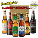 ＼スーパーDEAL ポイント50倍／ 一部賞味期限が8月のため【珍しい欧州ビール 飲み比べ セット 6本 送料無料】 ヨーロッパ ビール 世界のビール 詰め合わせ アソート ギフト プレゼント 誕生日 贈り物 記念日 お祝い おしゃれ ビール 飲み比べ スペイン フランス ドイツ