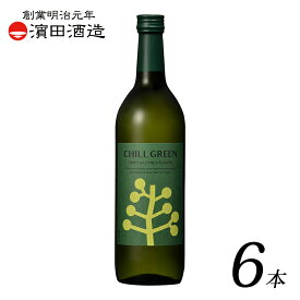 【チルグリーン 麦焼酎 ボタニカル CHILL GREEN spicy & citrus 720ml 1～12本 セット】 アルコール 25％ 鹿児島県 濱田酒造 焼酎 白麹 乙類 マーガオ スパイス チルアウト 炭酸割り ハイボール スパイシー シトラス 送料無料 ギフト プレゼント