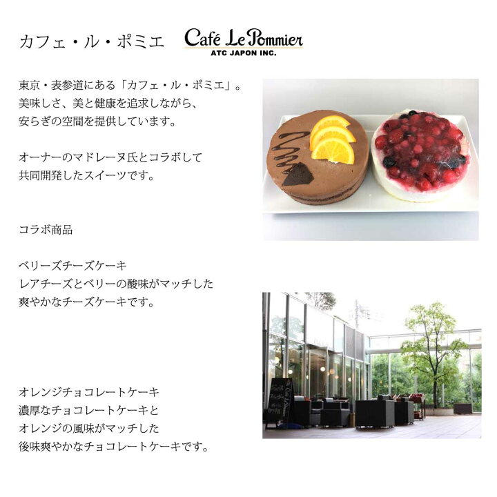 楽天市場 送料無料 表参道 カフェ ル ポミエ 2種類 約直径11cm 2個入 チョコレートケーキ ベリーチーズケーキ ギフト プレゼント お祝い お礼 記念日 贈り物 誕生日プレゼント 洋菓子 一流シェフ Regaloレガーロセレクトギフト