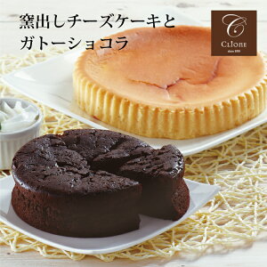 【送料無料】窯出しチーズケーキとガトーショコラの2種セット スイーツショップ クリオネ 贈り物 記念日 お祝い ギフト プレゼント サニーフーズ