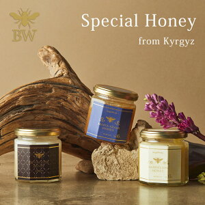 yLMXY TA11{ȏ v~A ݂͂ 180g×3 Mtg{bNXtz n`~c nj[ I GXpZbg }AAU~ _fCI Eō XyVnj[ E R 