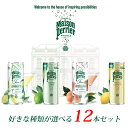 【メゾンペリエ 炭酸水 選べる 12本セット Maison Perrier プレミアム スパークリング ドリンク 250ml 缶】 フランス 炭酸 レモン ピーチ ライム モヒート 詰め合わせ アソート 飲み比べ パーティー お祝い