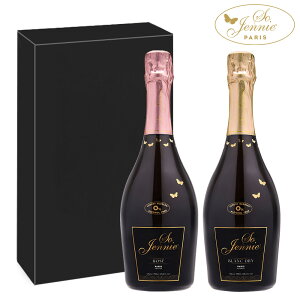 yō mAR[ Xp[NOC \[WFj[ [u ݔ Zbg 2{ 750mlz A [ u hC  Vp Xp[NO tX p[eB[ j 