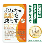 ★本日限定クーポン配布中★ナイシヘール 内臓脂肪 サプリ 内臓脂肪 サプリメント 内臓脂肪を減らす 脂肪…