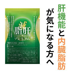 {N[|zz̃v~A XtHt@ GO_ Ij` ER  ubR[XvEg  ALT ̑ b b BMI ^{ Tv Tv