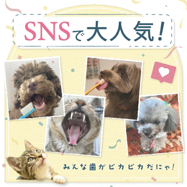 美品 ニオワン 犬 歯みがき 猫 歯磨き 歯石取り 犬歯石取り 歯石 歯石除去 犬歯磨き 歯磨きペースト 歯みがきジェル 猫歯石取り 猫歯磨き 歯磨き粉 30g ニオワン 猫用マウスケアふりかけ 猫 歯みがき 猫 歯磨き 猫 歯石取り 猫歯石取り 猫 歯石 猫 歯石除去 猫 歯磨きペースト 猫 歯みがきジェル 猫 歯磨き粉 歯みがきジェル