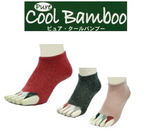 wȂ C \bNX ܐȂ c{ {ywʂ\bNXzy}`^Cvzw\bNX sAEN[ou[ | @ d 5{w bOEFA ̓ ̓ hV̓ Mtg