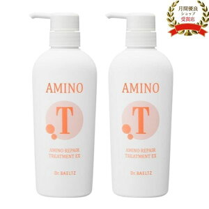 ドクターベルツ アミノリペアトリートメントEX 380g「2個セット」 ヘアトリートメント ノンシリコン【月間優良ショップ受賞】 ドクターコスメ化粧品 スキンケア サロン ドクター コスメ 化