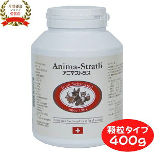 Aj}XgX 400gije ^{g  L ybg Tv pTvg ybg  Tv  Tvg Ɖu XgX  Tvg h{⋋ ۑ F s