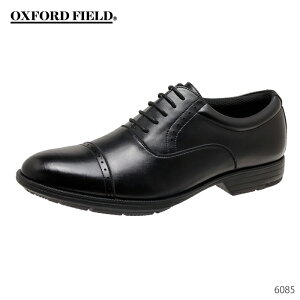 OXFORD FIELD IbNXtH[htB[h  rWlXV[Y Y _I 6085 L 3E h y R hL h(4cm×4) C amC