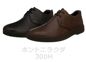 JlJ KANEKA JWA EH[LO V[Y Z^[Xeb` 300 300H Y L 4E { \tgv C Ki