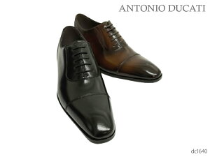 ANTONIO DUCATI AgjIhDJeB DC1640 H Xg[g`bv Y rWlXV[Y amC {v {