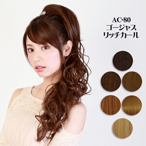 EBbO vV S[WXb`J[ Xgb`EBbO AC-80 ECbO   GNXe PRISILA | ×p a RXv  R  킢   ȒP