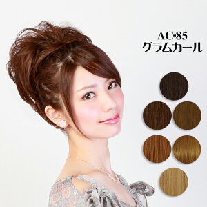 EBbO vV OJ[ Xgb`EBbO AC-85 ECbO   GNXe PRISILA | ×p a RXv  R  킢   ȒP