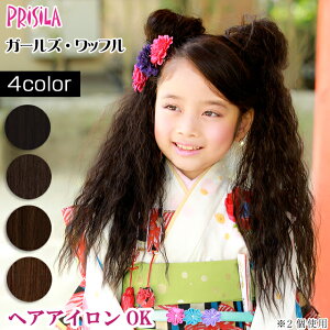 EBbO qp LbY vV K[YVV K[YEbt GVS-01 ECbO   t GNXe PRISILA ܎O | ×p a RXv  R  킢 