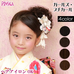 EBbO qp LbY vV K[YVV K[YEv`J[ GVS-04 ECbO   t GNXe PRISILA ܎O | ×p a RXv  R  킢 