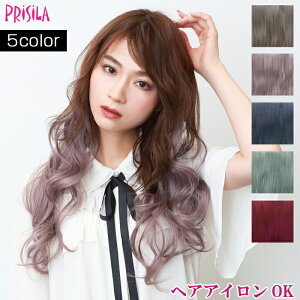 EBbO GNXe vV ߂yJ[GNXe bNXJ[ TX-26 ECbO ϔM ^b`   PRISILA | ×p a RXv  R  킢  