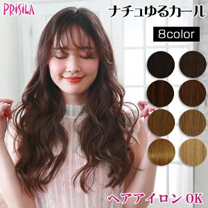 EBbO GNXe vV ߂yGNXe i`J[ TX-27 ECbO ϔM ^b`   PRISILA | ×p a RXv  R  킢   ȒP
