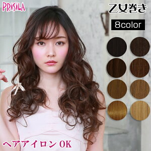 EBbO GNXe vV ߂yGNXe  TX-28 ECbO ϔM ^b`   PRISILA | ×p a RXv  R  킢   ȒP