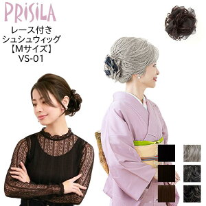 vV VS-01[Xt ϔM VV ~ZX ܂yEBbOEECbOEEсEGNXeEPRISILAz | ×p a RXv  R  킢   