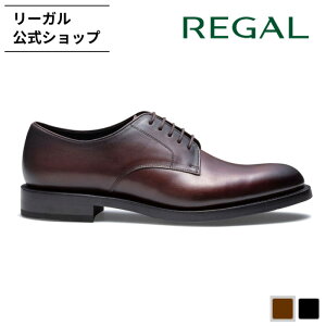 yz REGAL 04HL v[gE _[NuE rWlXV[Y Y [K | {v uE ɂ C JWA { OH vC jp  tH[} rWlX v