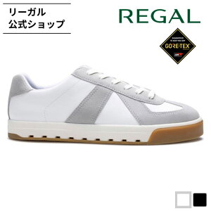 yz REGAL 63JL Xj[J[ GORE-TEX SURROUND zCgO[ Y [K | [KV[Y YXj[J[ YV[Y amC amCJWA {v SAebNX h C v J