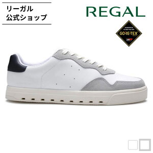 yz REGAL 64JL Xj[J[@GORE|TEX@SURROUND zCgO[ Xj[J[ Y [K