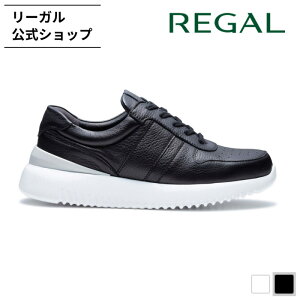 yz REGAL 81HL Xj[J[ ubN Xj[J[ Y [K | j amC RtH[g [Jbg U[ y v {v ₷ ɂ NbV YV[Y V[