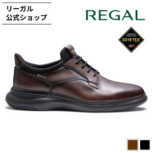 �y�����z REGAL 70KL �X�j�[�J�[ GORE�|TEX �_�[�N�u���E�� �X�j�[�J�[ �����Y ���[�K�� | �C �����Y�C �����Y�X�j�[�J�[ �S�A�e�b�N�X �h�� ���� �ʋ� �{�v ���U�[ ���U�[�X�j�[�J�[ ���U�[�V���[