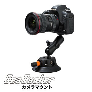 yK̔XzSeaSucker J}Eg el6003 JX^h J ANVJ px  Œ  tbNXA[  Be @ t[ B r Or AEghA  