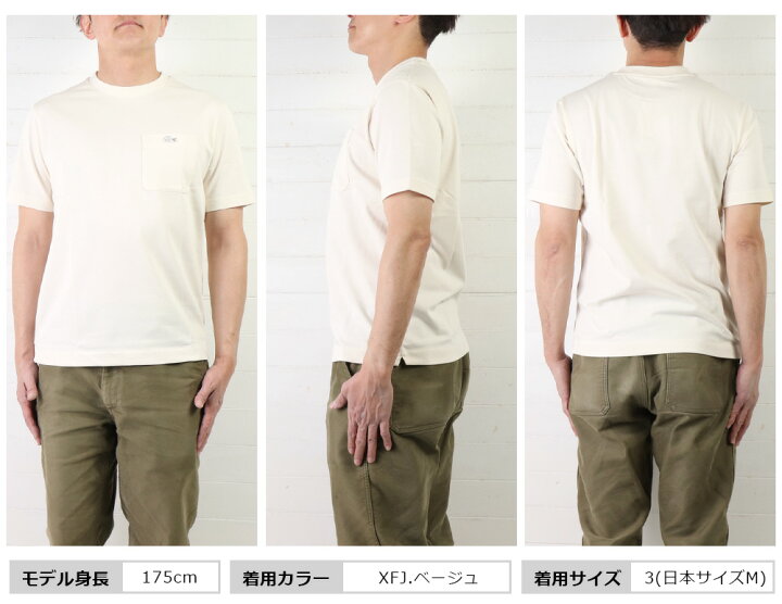楽天市場】ラコステ シャツ ラコステ tシャツ ラコステ メンズ LACOSTE 