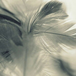 肰ȂIVAȏ_łBGWFECOXiAngel WingsjA}Ntgp A}tOX\g TVF܃ZbgiTVFAeEAfBt[