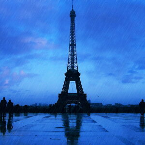 p̃IVȎG݉́AȍȂ̂ȁHpXNiParis MuskjA}Ntgp A}tOX\g TVF܃ZbgiTVFAeEAfBt[U[p
