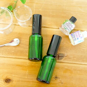 ό`AώɋIS̃KXIKX Ռr Xv[{gO[ 30mli[Xv[ {fB~Xg  {fBXv[ A}Xv[ Xv[j