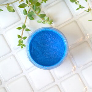 ĈȂAhu[Bu[ -Blue-p[}CJ 4gRXeBbNO[hiϕiO[hjibv bvOX ACVhE `[N RX Όj