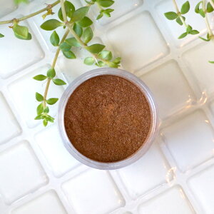 Ԗ̂S[hnuEBuY -Bronze-p[}CJ 4gRXeBbNO[hiϕiO[hjibv bvOX ACVhE `[N RX Όj